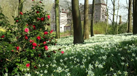 Castle in the Groenenberg park. Video stock 49040316