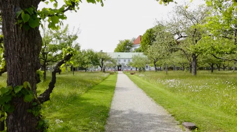 Castle grounds in dachau, bavaria, germany Stock Footage 38036580