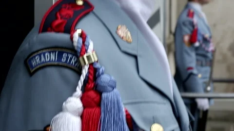 Castle Guard close up Stock Footage 53496973