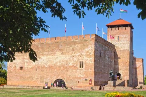 Castle - Gyula Stock Photos