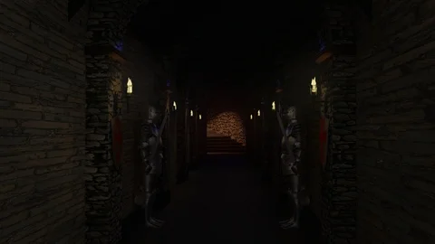 Castle Hall Stock Footage 101089120