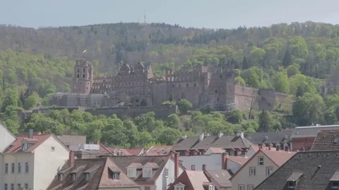 Castle of heidelberg Stock Footage 75674894