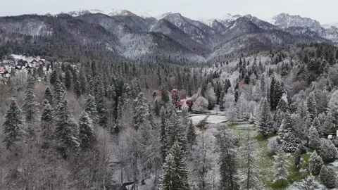 Castle hidden in a forest Stock Footage 307539554