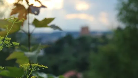 Castle on the hill Video stock 11356633