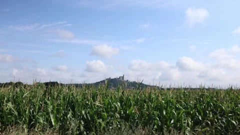 Castle on a hill under a bright summer sky with lush cornfields in the foregroun Stock Footage 313843664