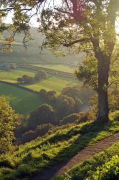 Castle Hill view Foto stock