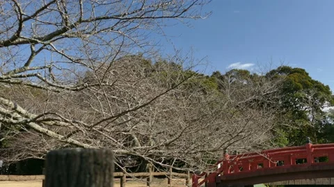 Castle that makes you feel the Edo period 스톡 동영상 125471306