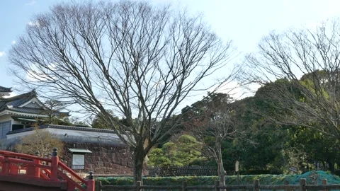 Castle that makes you feel the Edo period 스톡 동영상 125471591