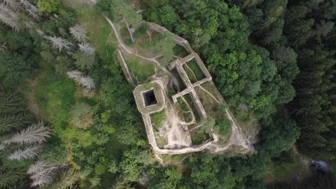 Castle in the middle of the forest 2.2 動画素材 152576960