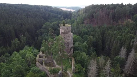 Castle in the middle of the forest Stock Footage 152577018