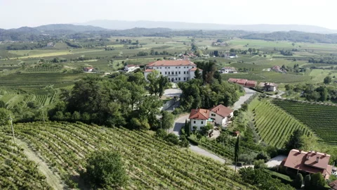 Castle in the middle of vineyards Stock Footage 172108784