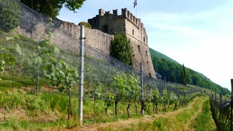 Castle in Morcote on a Vineyard with Mountain View in a Sunny Summer Day Stock Footage 195004882