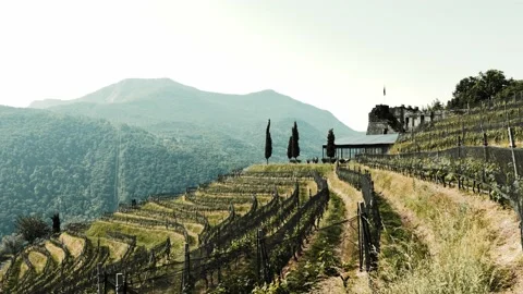 Castle in Morcote on a Vineyard with Mountain View in a Sunny Summer Day Stockbeeldmateriaal 195004903