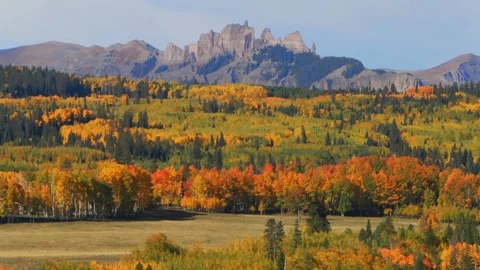 Castle Mountain Mill Castle Gunnison National Forest Crested Butte Ohio Kebler Stock Footage 322147859