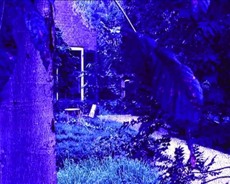 Castle at night Stock Footage 8551856