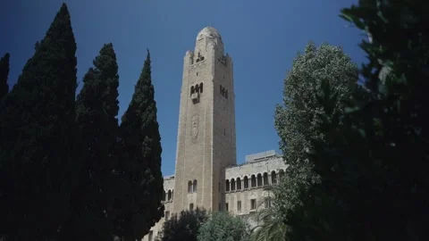 Castle over the trees Video stock 218645939