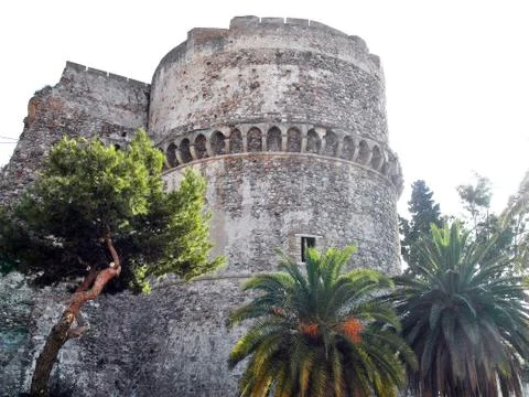 Castle with palm trees Stock Photos