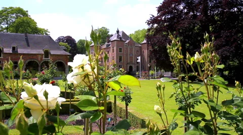 Castle in the park Coloma. Stock Footage 51033729