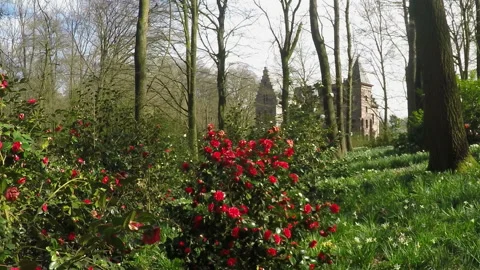 Castle in the park. Stock Footage 105263984