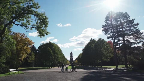 Castle in the park of the Sudfriedhof . Leipzig, germany - 2 nov 2025 Stock-Footage 324869909