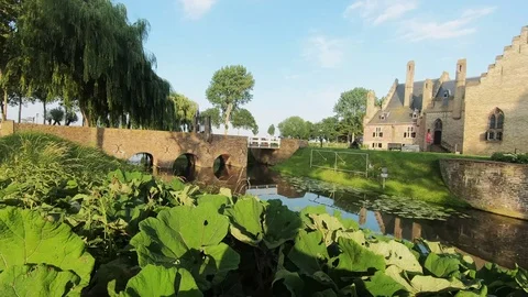 Castle Radbout in the sun Video stock 116551536