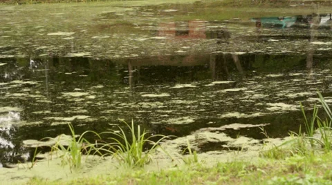 Castle reflection Stock-Footage 31340421