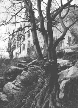 Castle on the rocks between trees in black white Stock Photos