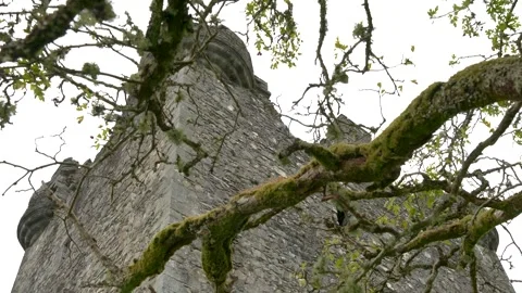 Castle ruin 1 Stock Footage 263148253