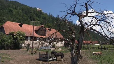 Castle Ruin Katsch near Katsch, Murtal, Austria Stock Footage 85616632