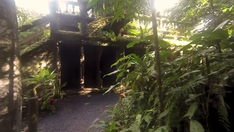 Castle ruins in an enchanted forest. Stock Footage 92233337