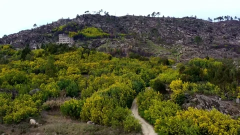 Castle of Sortelha I Castelo de Sortelha Stock Footage 171091011
