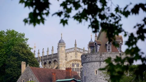Castle on a sunny under a lush tree Stock Footage 106771473