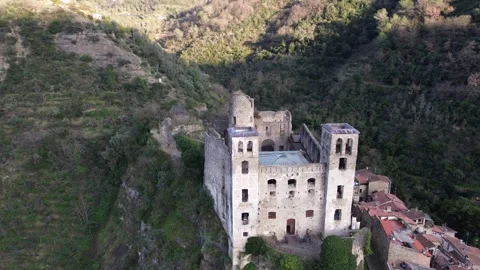 A castle is surrounded by a forest Video stock 328615546