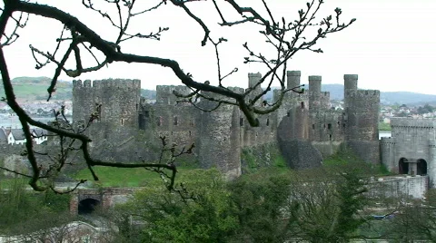 Castle Through Tree's Stock Footage 737371