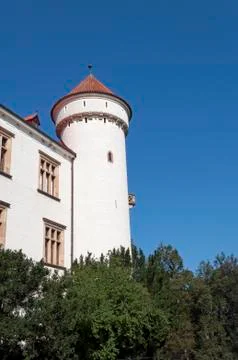 Castle tower. Stock Photos