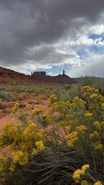 Castle Valley Stock Photos