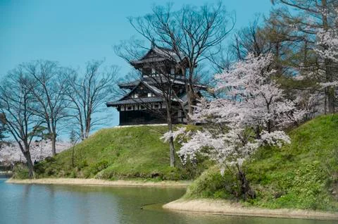 Castle view during cherry blossom Stock Photos