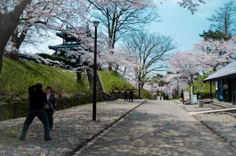 Castle view during cherry blossom Stock Photos