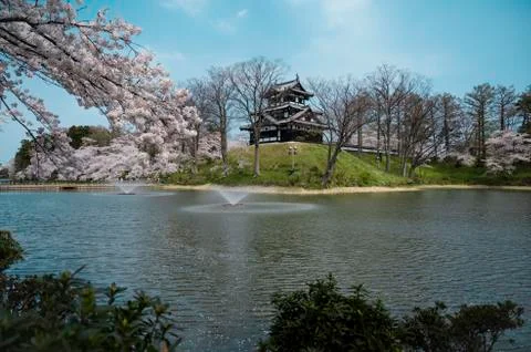 Castle view during cherry blossom Stock Photos