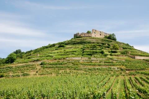 Castle on a vineyard Stock Photos
