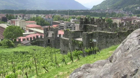 Castle wall and vineyard Stock Footage 705772