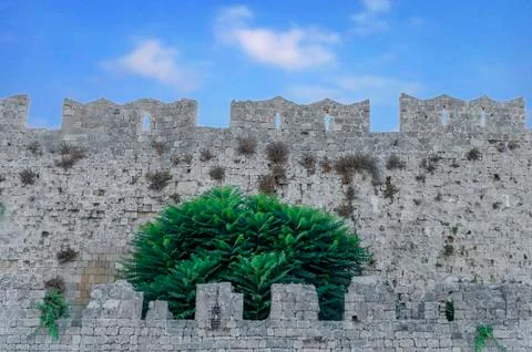 Castle wall like block pattern of medieval concrete background Stock Photos