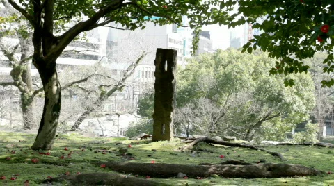 Castle Wall, City Backdrop Vidéo 655382