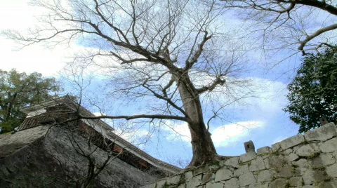 Castle Walls (Time Lapse) Video stock 655354