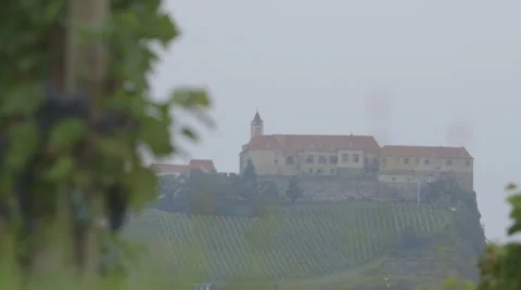 Castle with Wine (Canon Log) Stock Footage 54370372