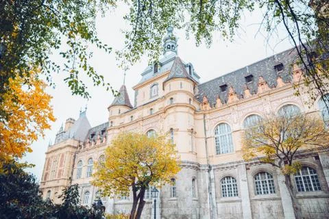 Castle in yellow trees Stock Photos