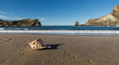 Castlepoint Seashell Beach Stock Photos