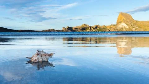 Castlepoint Seashell Foto stock