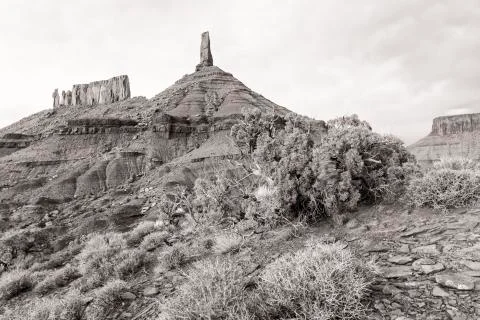 Castleton Tower and Juniper Tree Black and White Stock Photos