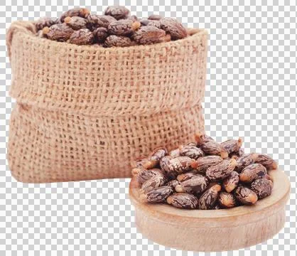 Castor beans Stock Photos